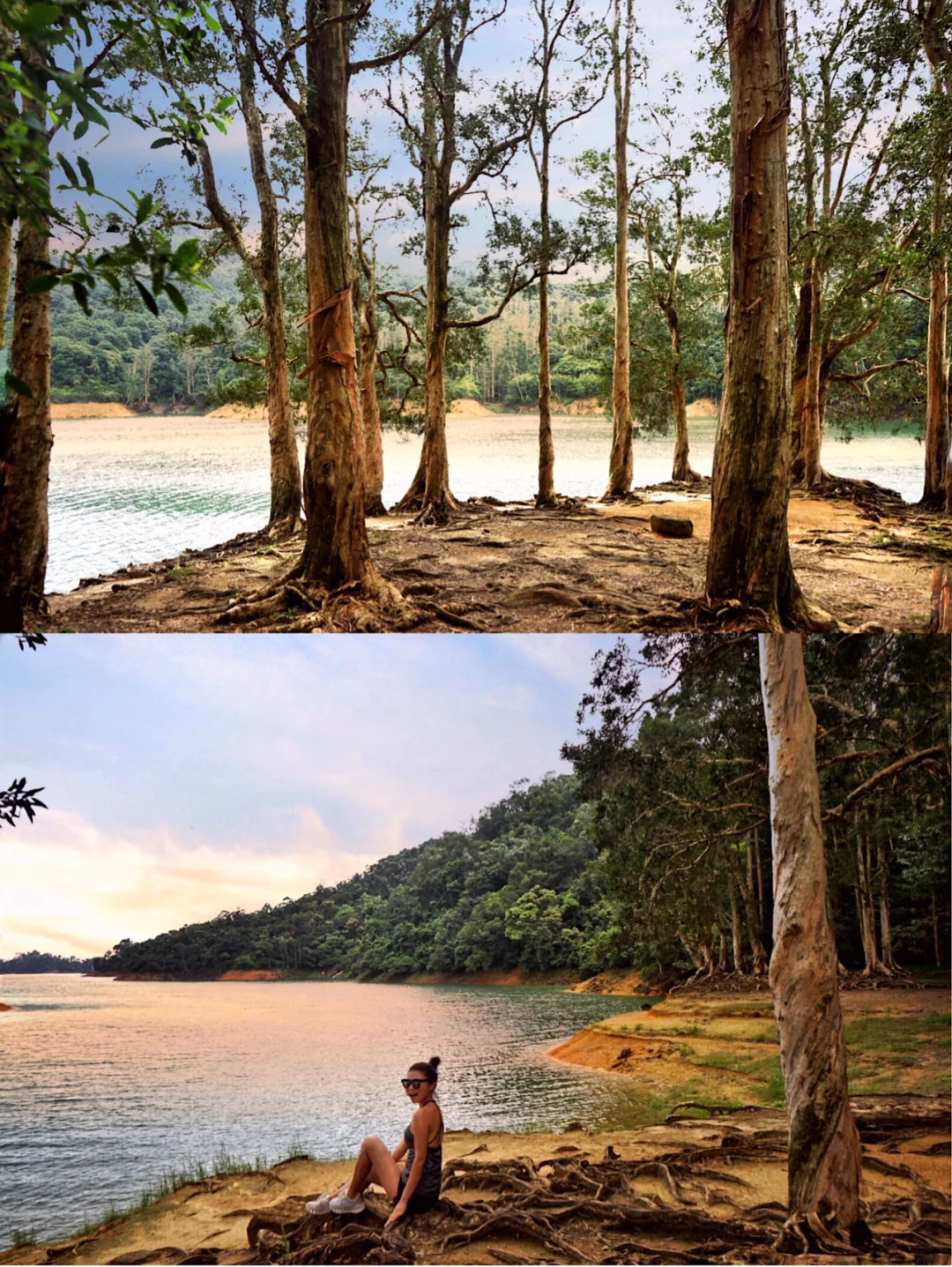 香港行山郊游🇭🇰|城门水塘，水浸白千层美景