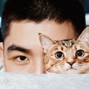 正直男孩