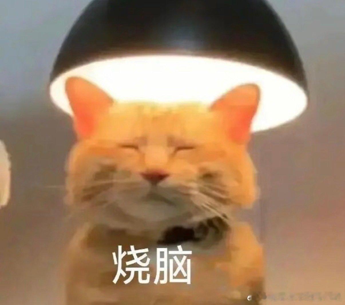 刚才小聋人给我打电话，说他妈妈挑食营养不均衡，他正在批评教育。然后他妈妈拿过电话说，我的天啊他简直是我婆婆，还是旧社会的婆婆[允悲]

#生活手记[超话]##啃老博主的机秘生活# ​