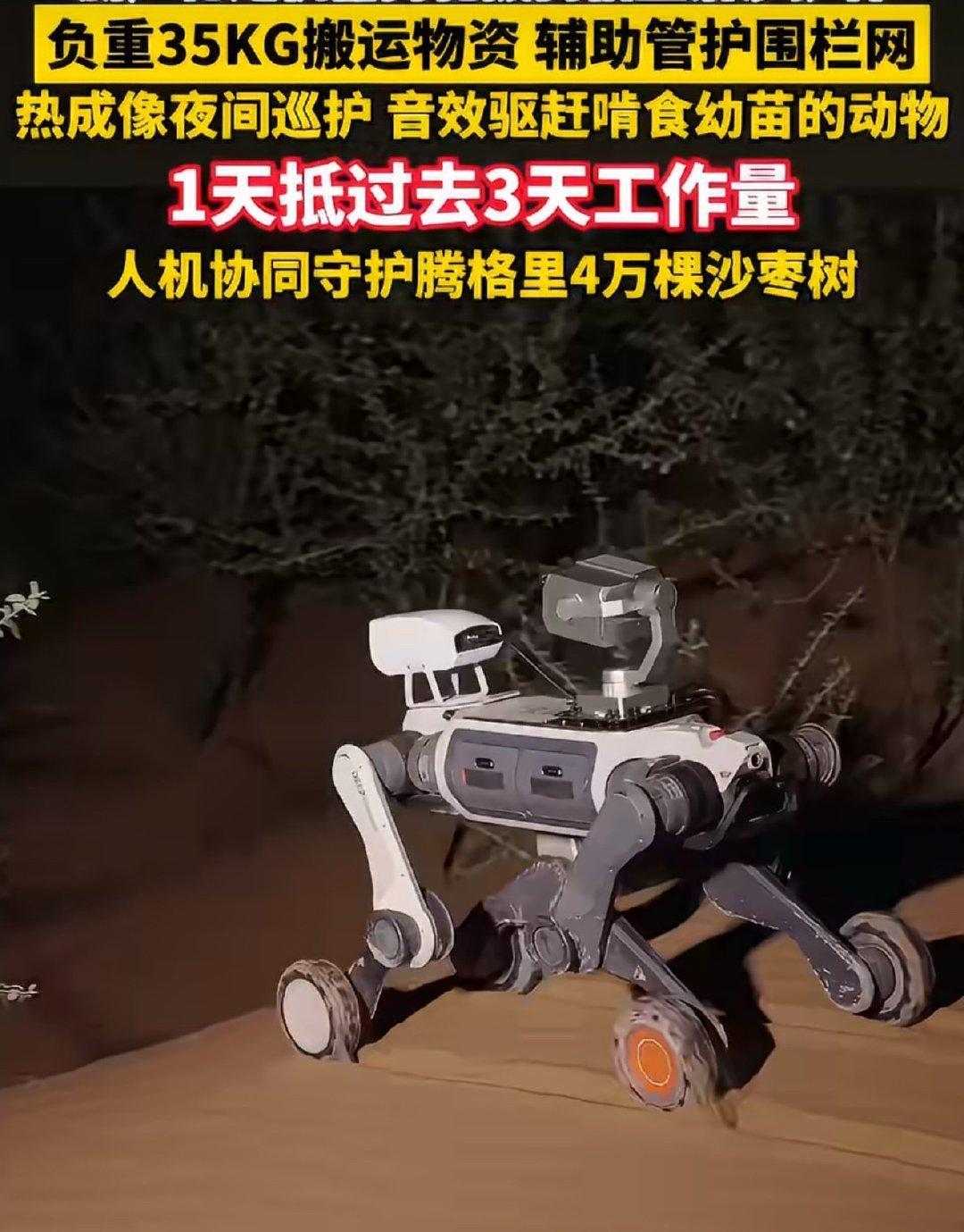 #浙产机器狗去内蒙古帮忙治沙了#浙产机器狗奔赴内蒙古腾格里沙漠助力治沙护林。沙漠高温风沙肆虐，人工巡护条件艰苦。机器狗可以翻越沙丘，搭载热成像设备夜间巡逻，驱赶啃食树苗的动物，还能搬运物资、排查林地隐患。原本三天的巡护工作，一天即可完成，用科技为护林人员分担繁重的野外劳作。 ​