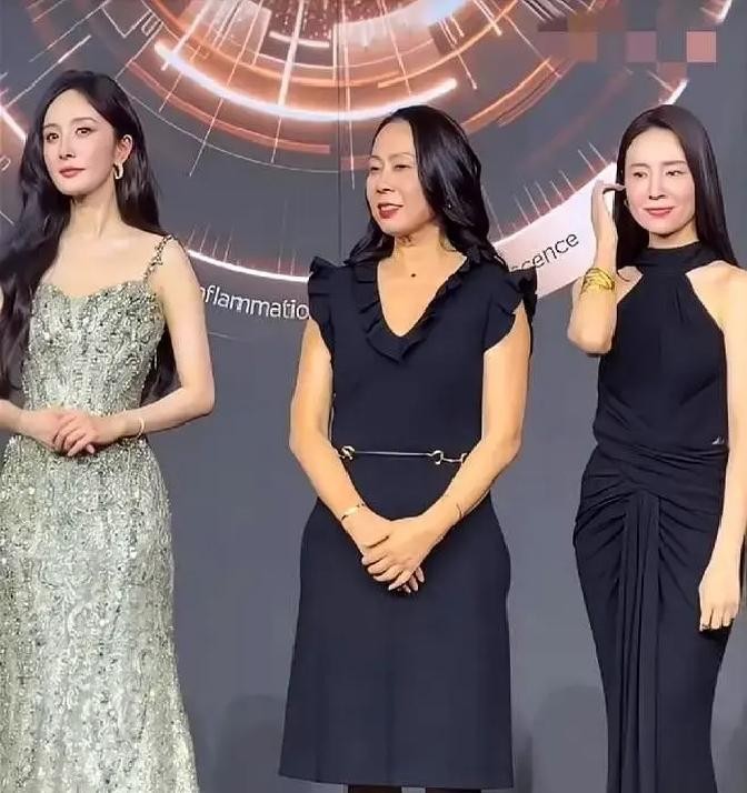 董洁和杨幂，两个加起来身家过亿的女明星，那天晚上最怕的不是狗仔，是一段十几级的台阶。

台阶没做防滑处理。之前已经有三个穿长裙的女艺人踩空，摔在地上，捂着脸半天不敢抬头。董洁的拖地长裙比脚踝长出三厘米，裙摆拖在地上，没人扶，她踩上去的概率超过一半。

杨幂站在她前两级台阶，回头看了一眼。

原来两个