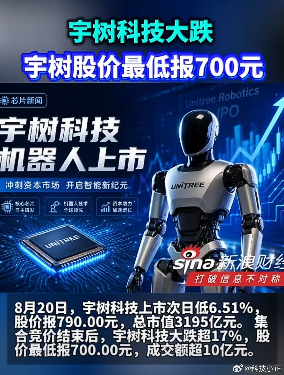 #宇树大跌#
“人形机器人第一股”宇树科技上市次日大跌超17%市值蒸发超千亿，
#王兴兴称机器人两三年内或迎来关键突破# ​