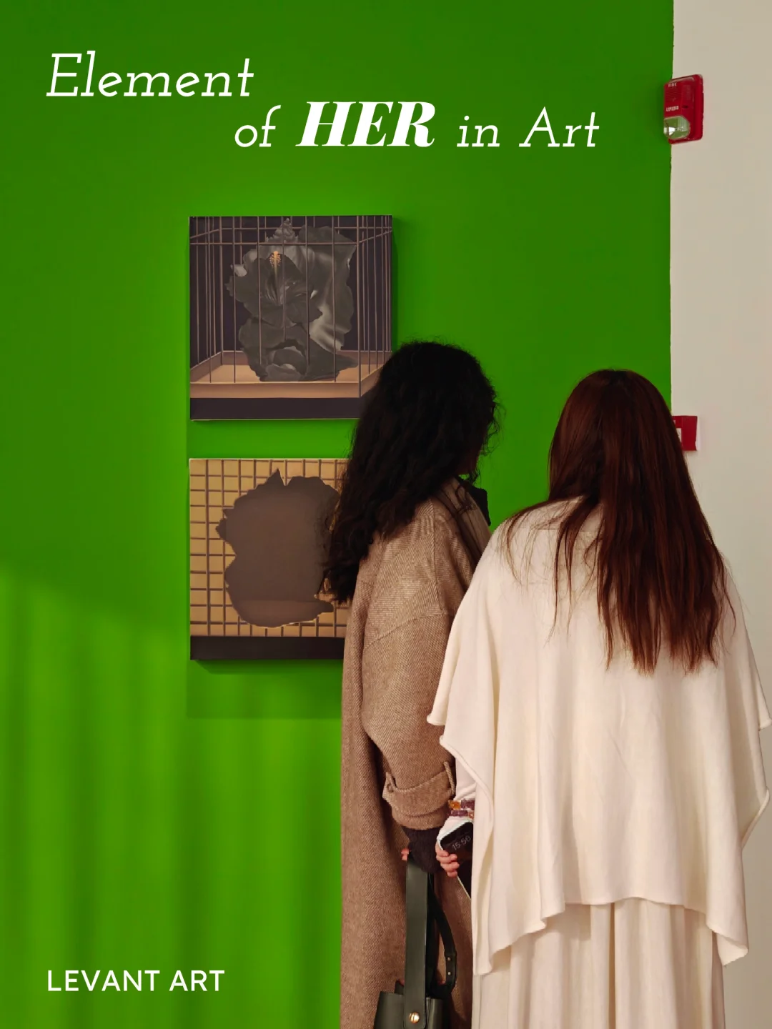 新展速报｜阆风2025首展：聚焦女性生存状态