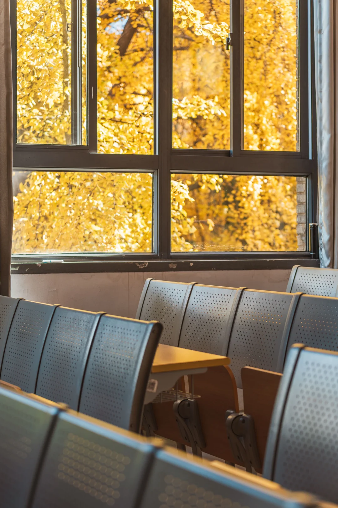 南大鼓楼最美阶梯教室，点名教学楼201