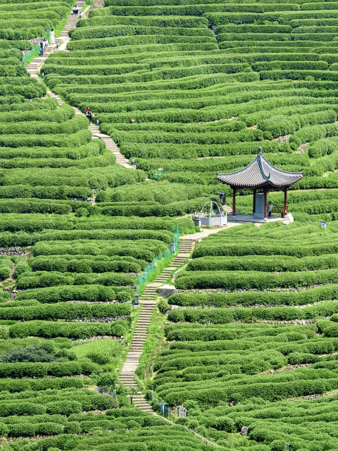 我宣布，杭州这条徒步路线就是i人天堂🍃