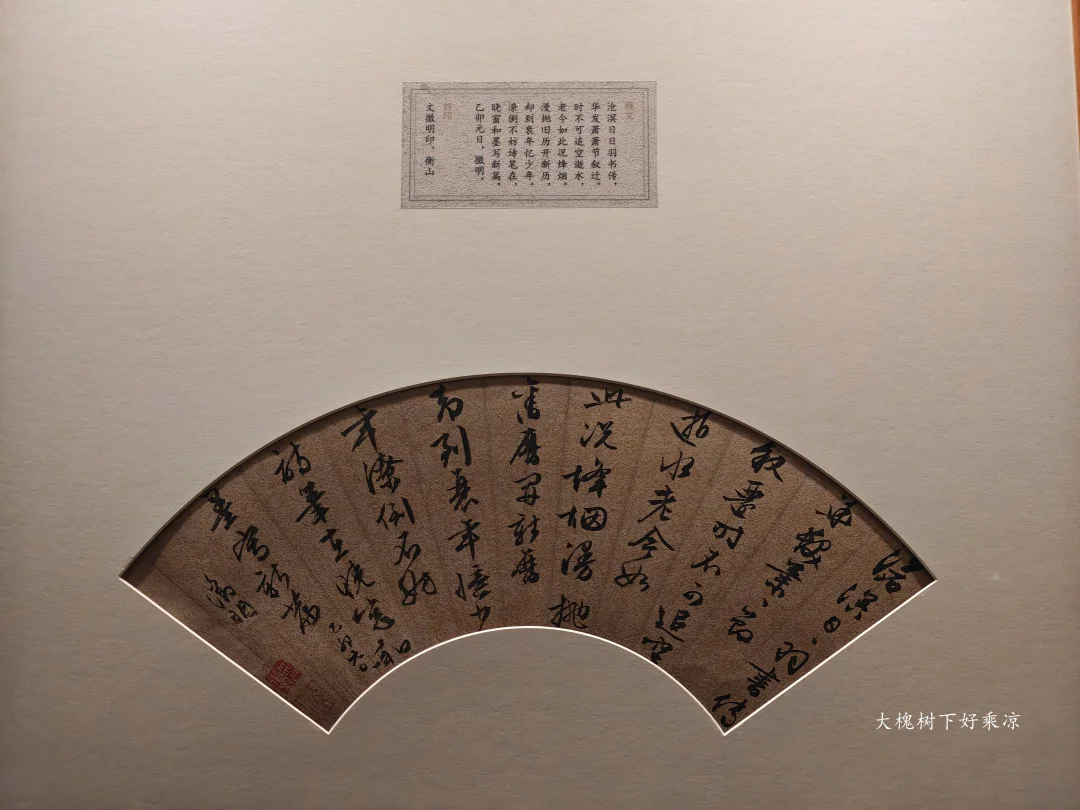 国博看展——文徵明85岁高龄写的扇面