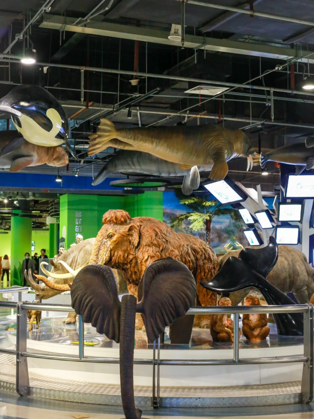 后悔才来这个免费遛娃地‼️比想象中好玩太多