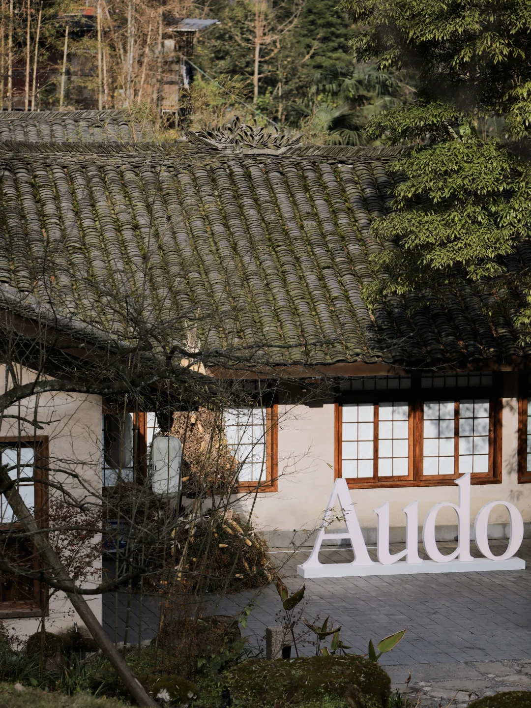 山中来客｜Audo Suite正式启幕