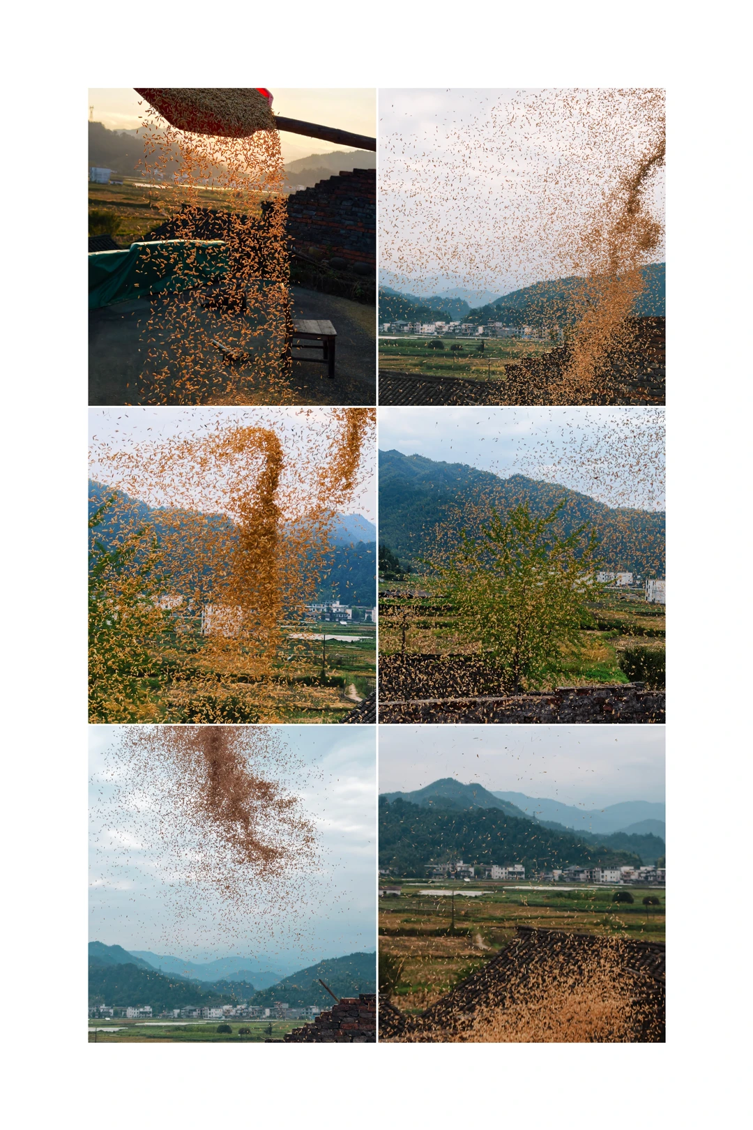 秋收的喜悦