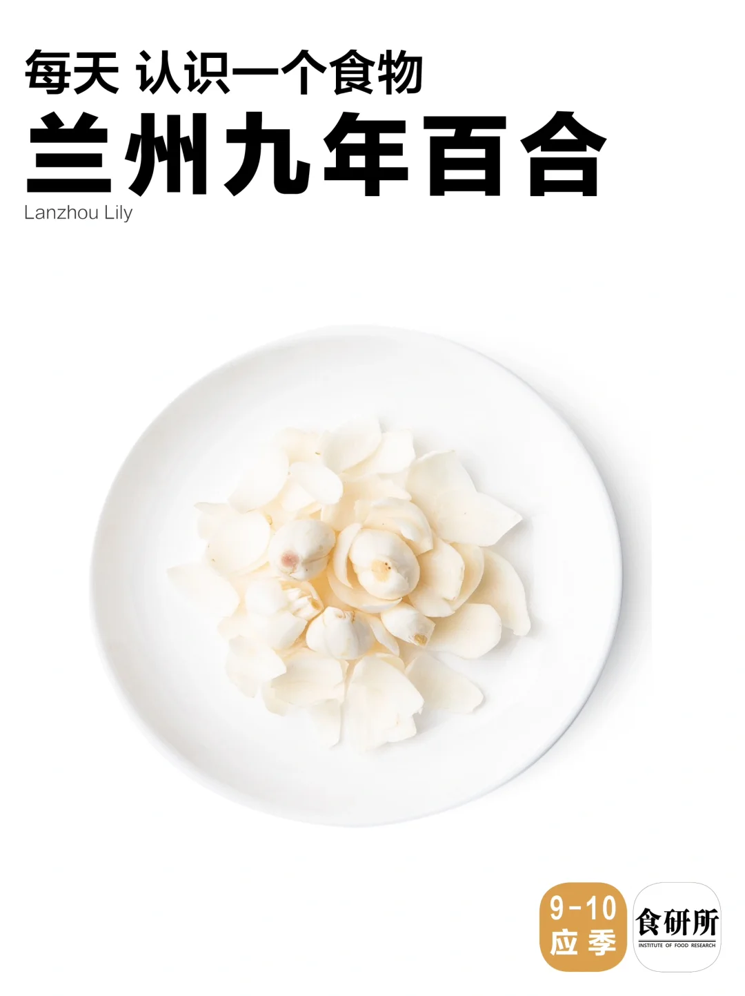 兰州百合 被误认为蔬菜的主食第一名