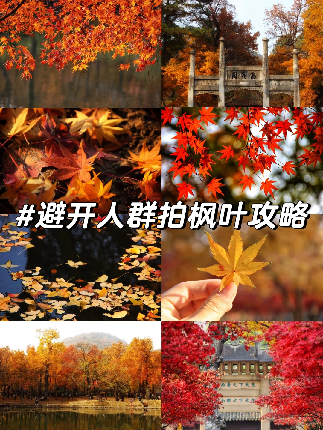 苏州秋天顶流天平山！8招教你怎么拍好看