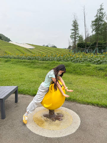 公司团建一日游来从化啦~<br />体验了丛林穿越 性价比最高