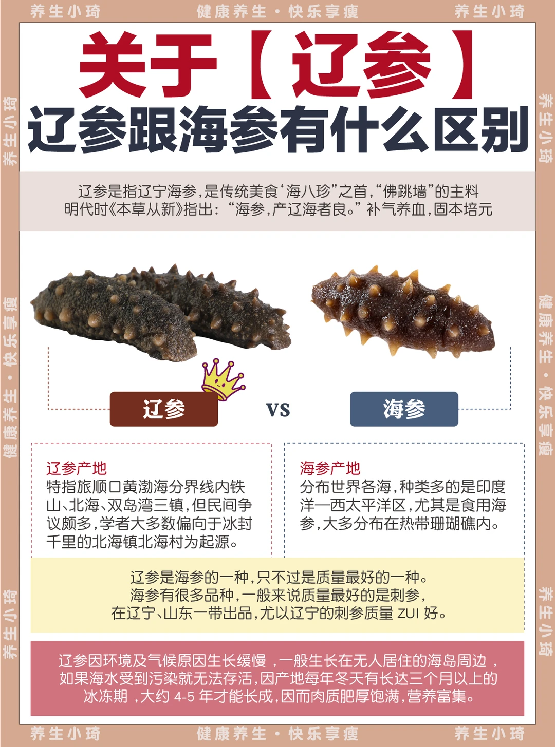 还得是辽参！｜辽参怎么选+养生搭配