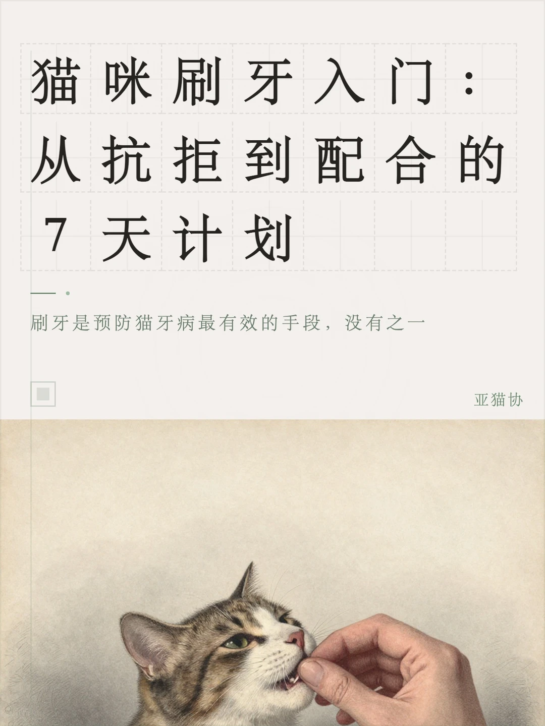 猫咪刷牙入门：从抗拒到配合的7天计划