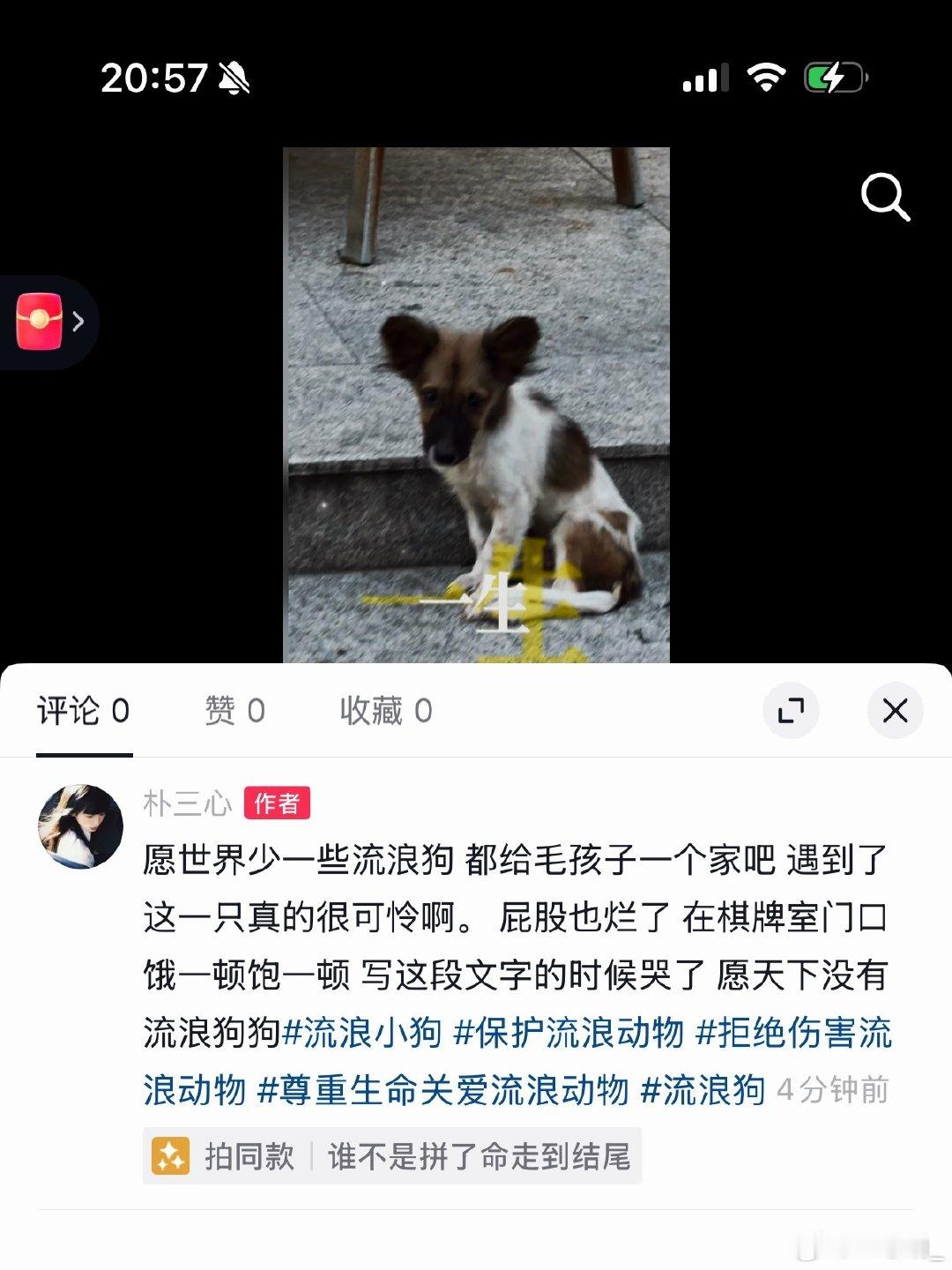 愿世界没有流浪小狗 
遇到了给毛孩子一个家吧#流浪狗# ​
