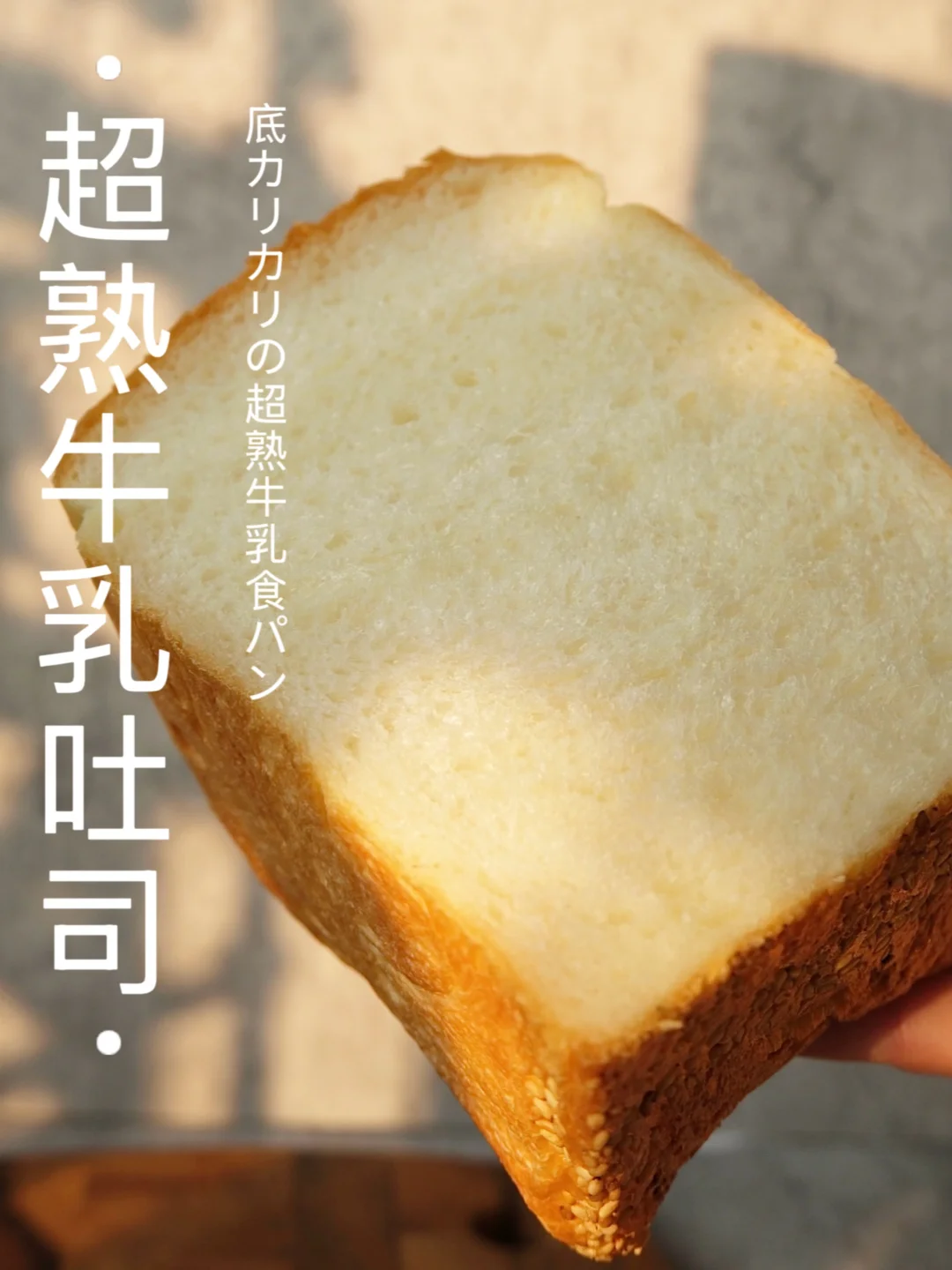 脆底🥛超熟牛乳吐司｜一夜熟成嚼着吃的奶片