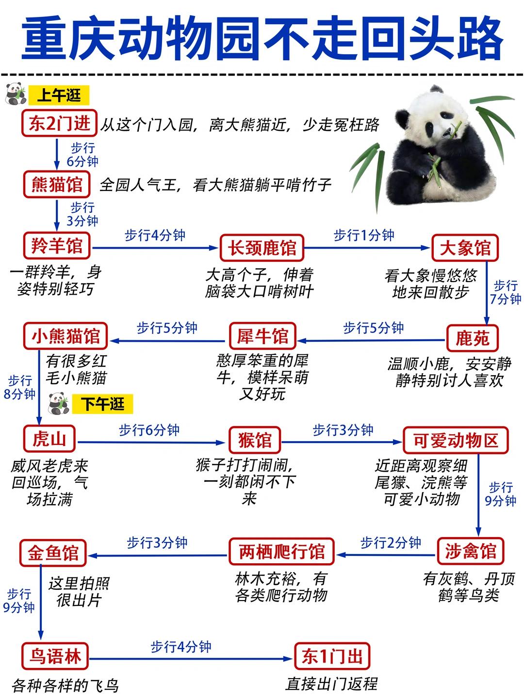 重庆动物园一日游路线‼️这样走不废脚✅