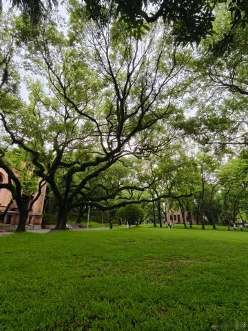老友来穗，开心一天，早上广州动物园，下午中大逛逛，完美避开大雨，赞