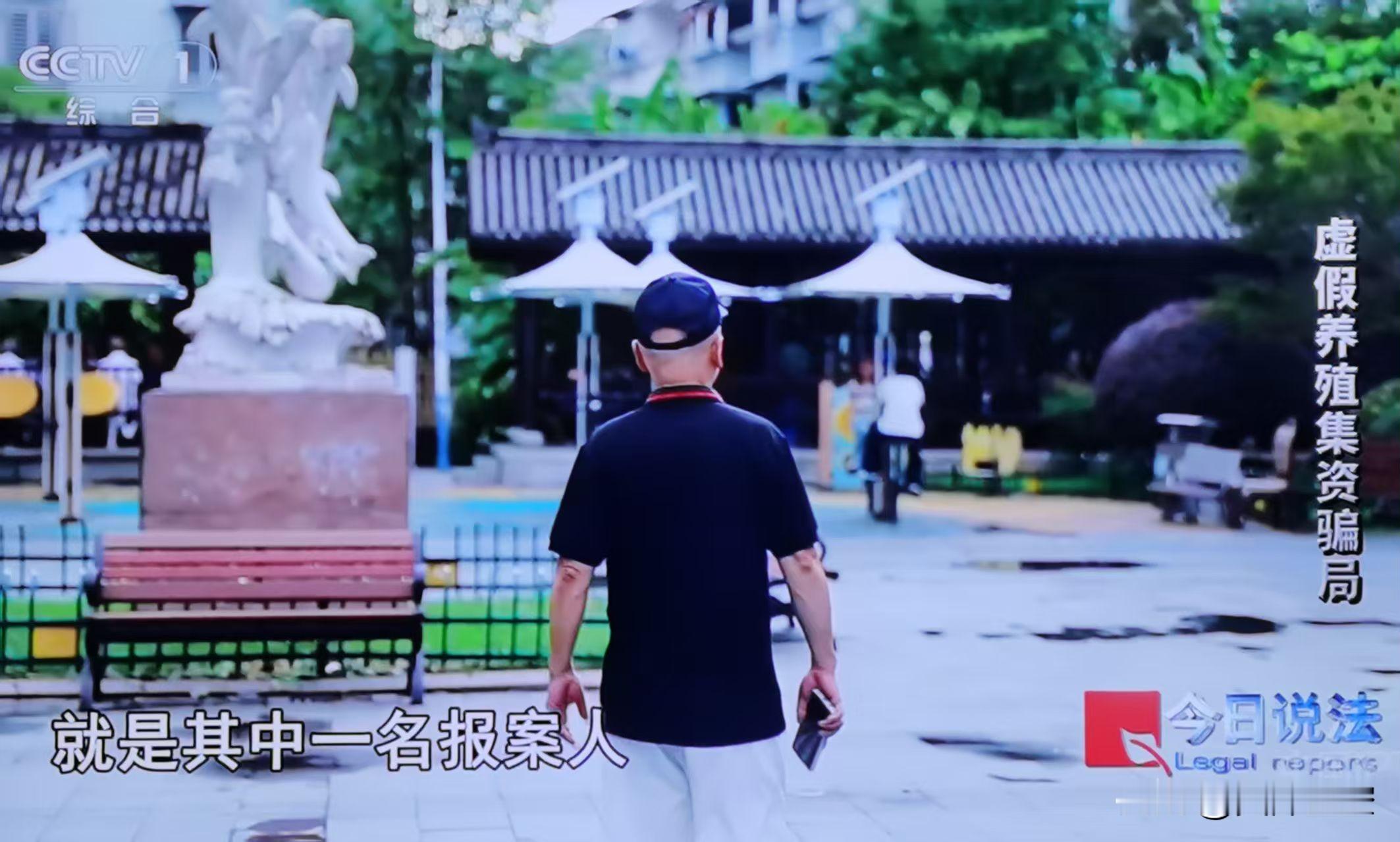 现在社会中老年人容易陷入集资诈骗和电信诈骗的局。

《今天说法》披露了一起案例：一位老人在公园闲逛时，碰到一名年轻人，对方称自家公司有鱼塘，打算新建冷库，邀请老人们前去参观，还当场发放了小礼品。老人们去实地看了鱼塘，那片偌大的鱼塘确实真实存在，返程时对方又塞给他们不少新鲜的螃蟹和鱼虾。等老人们回家后