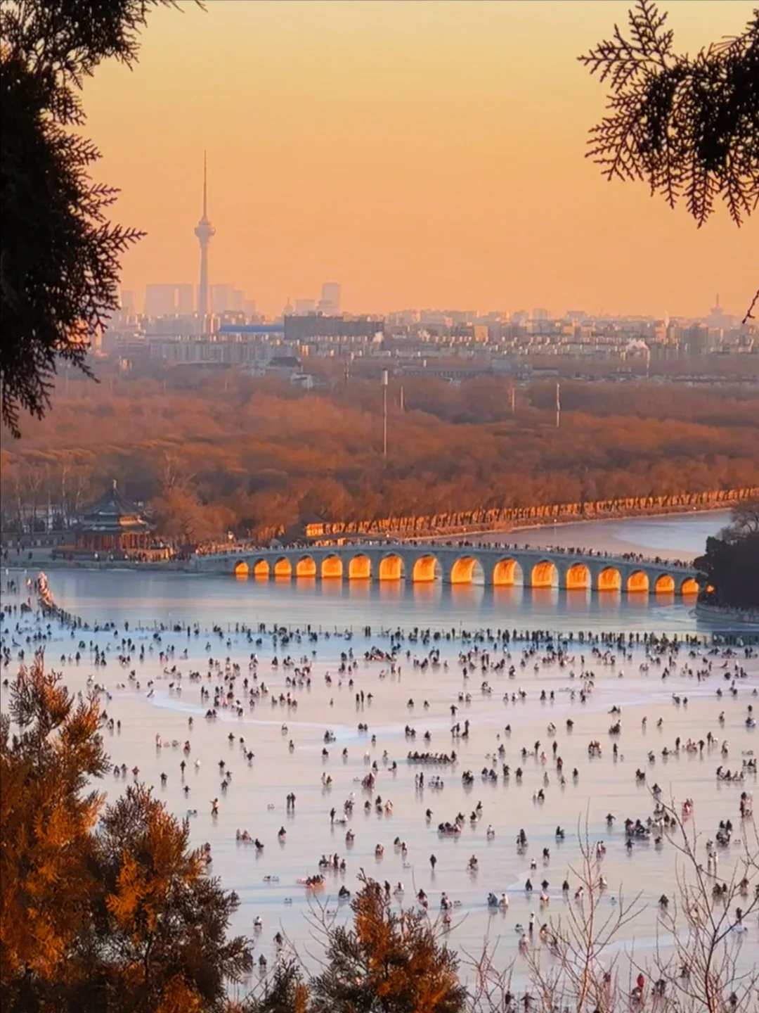 北京冰场倒计时！超强攻略看这一篇就够了！