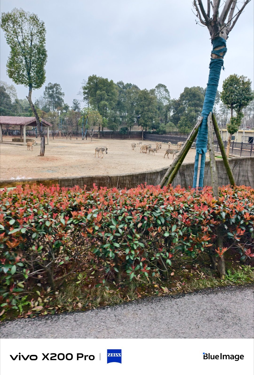 #vivo[超话]# 梅雨时节江南烟雨朦胧，白墙黛瓦浸润水汽，温婉江南，藏着独有的诗意韵味。 ​