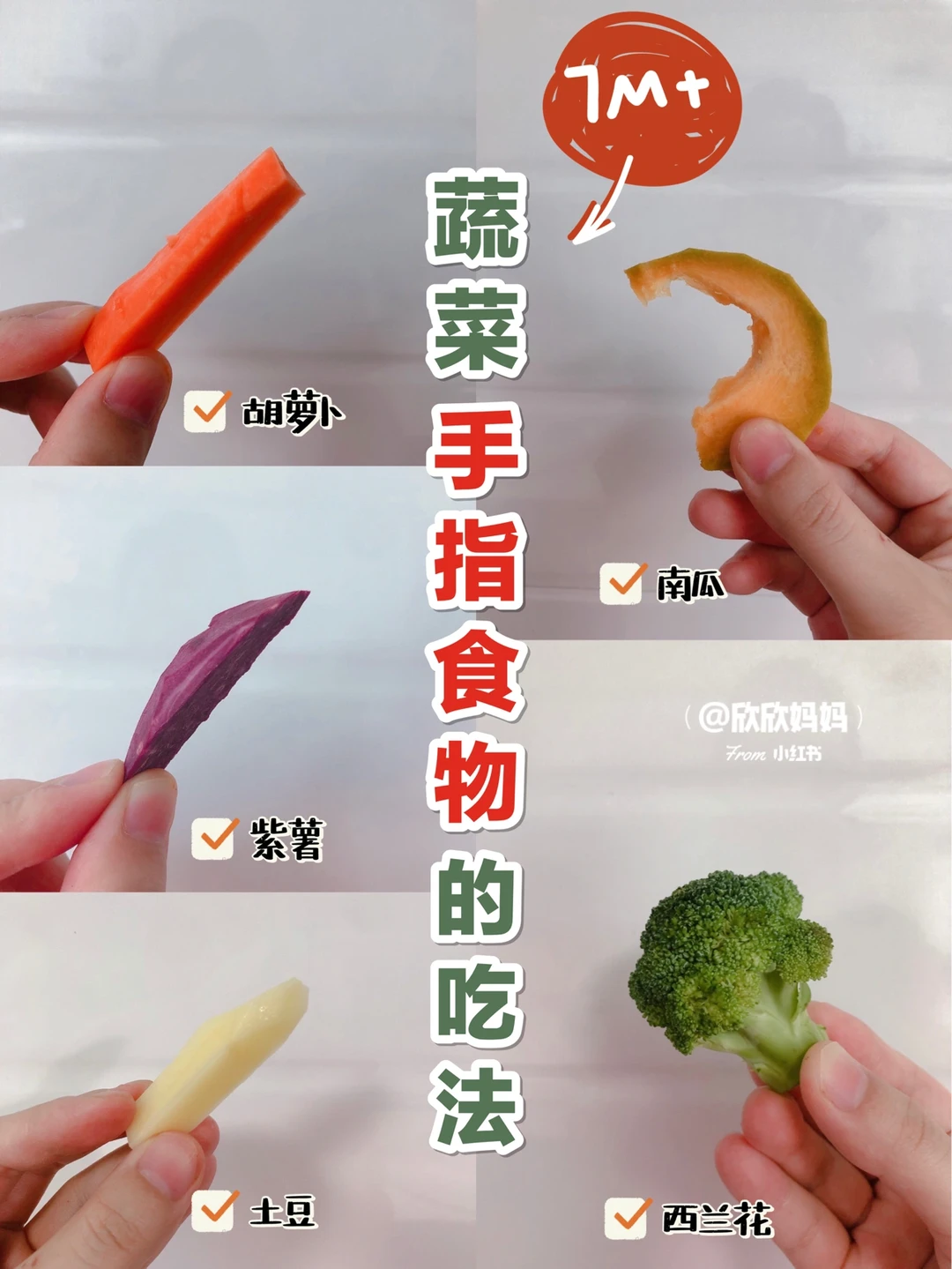 7个月如何引进手指食物，保姆级教程❗️