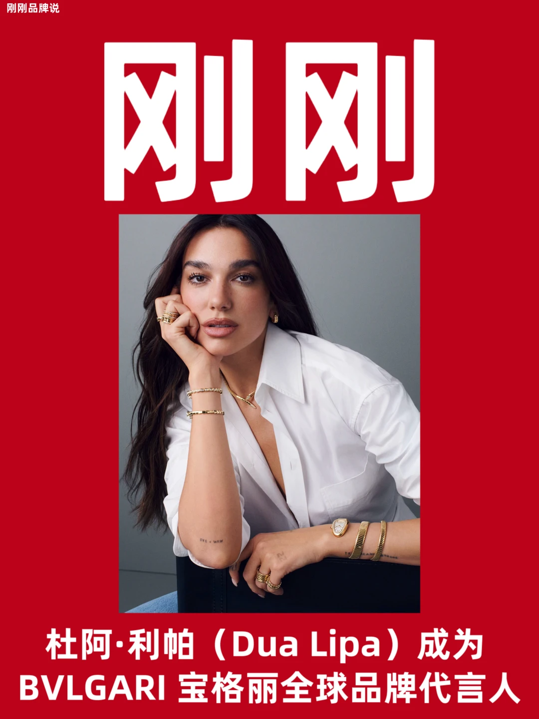 杜阿·利帕 成为宝格丽全球品牌代言人