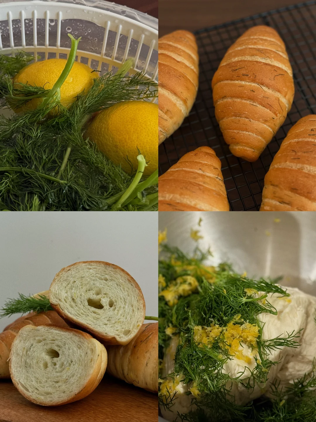 把柠檬和莳萝揉进面团里🍋🌿好清新