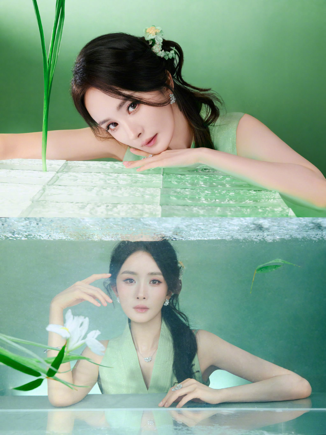 杨幂完全是美神降临来的[流鼻血]
温柔美丽的东方女人~ ​