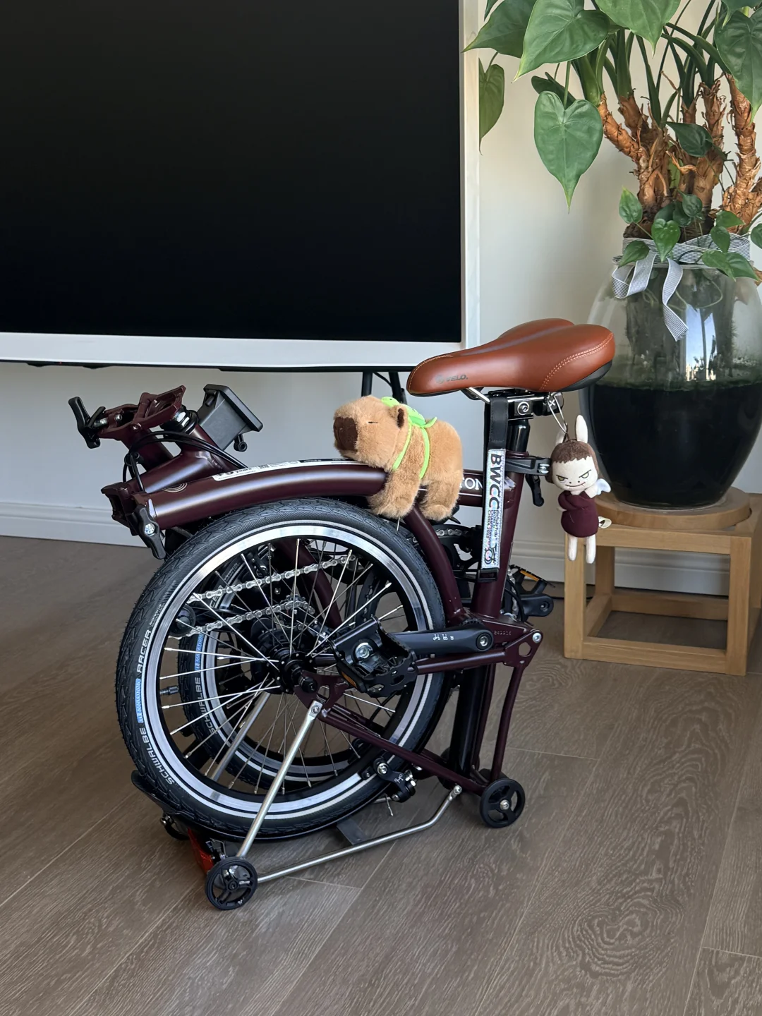 新车入手 立个flag：多骑少改