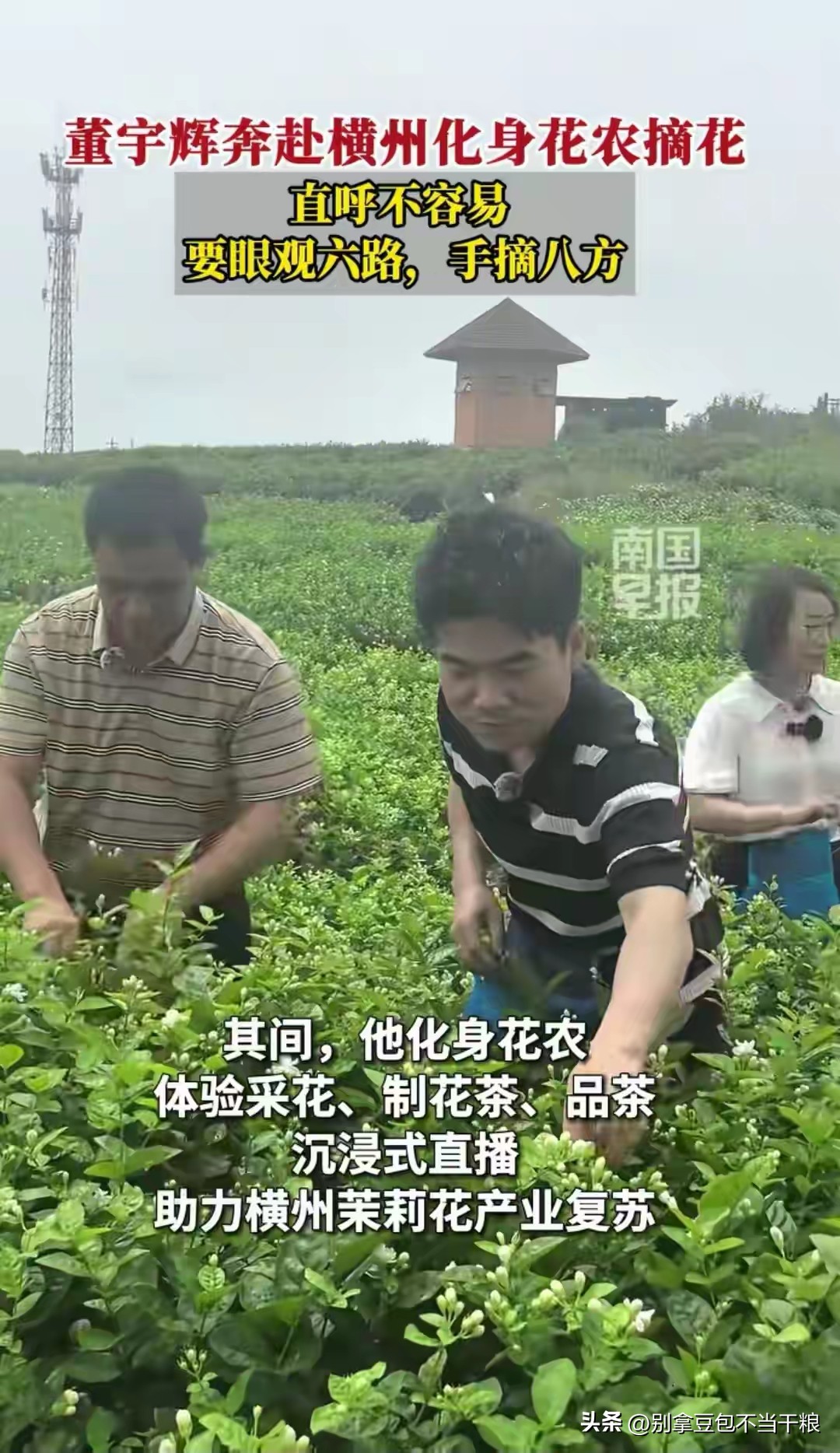 1.3亿次曝光！水灾过后，董宇辉43万单为广西横州茉莉花产业雪中送炭
 
谁能想到，一场洪水，差点困住“世界茉莉花都”横州数万花农的生计 。
 
前段时间的洪涝灾害，大片花田被淹，花苞受损，辛苦一年的收成悬在了半空，整个茉莉花产业都承受着不小的压力 。
 
就在灾后复产最关键的时候，董宇辉带着团队走