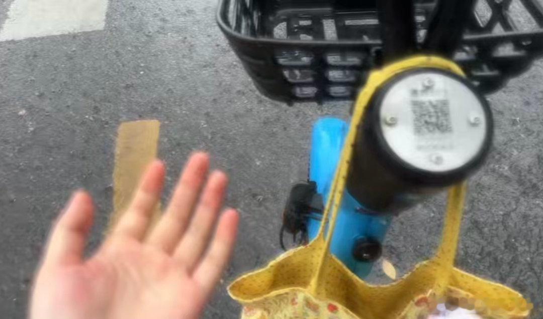 今天被雨淋了很新奇的体验！ ​