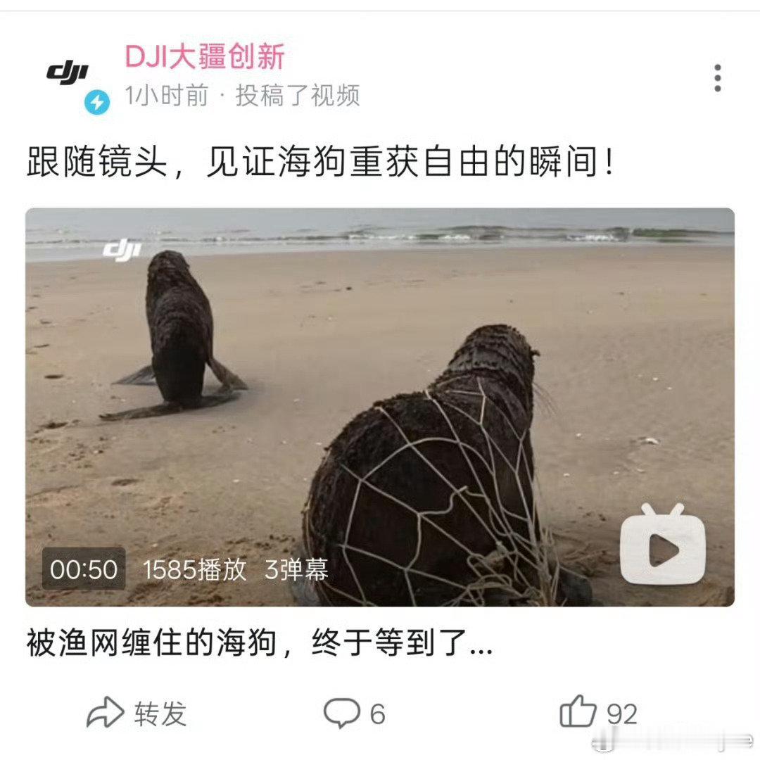 ，罗老师把这个图发给他他们，看看他们什么反应[二哈][并不简单][嘻嘻] ​