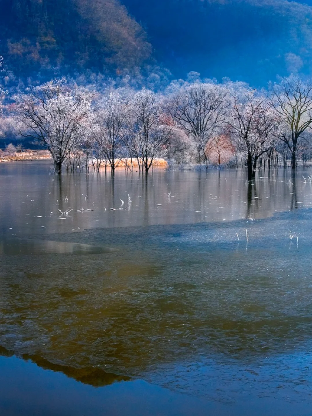 ❄️美得太不真实了‼️神农架赏雪地盘点攻略‼️