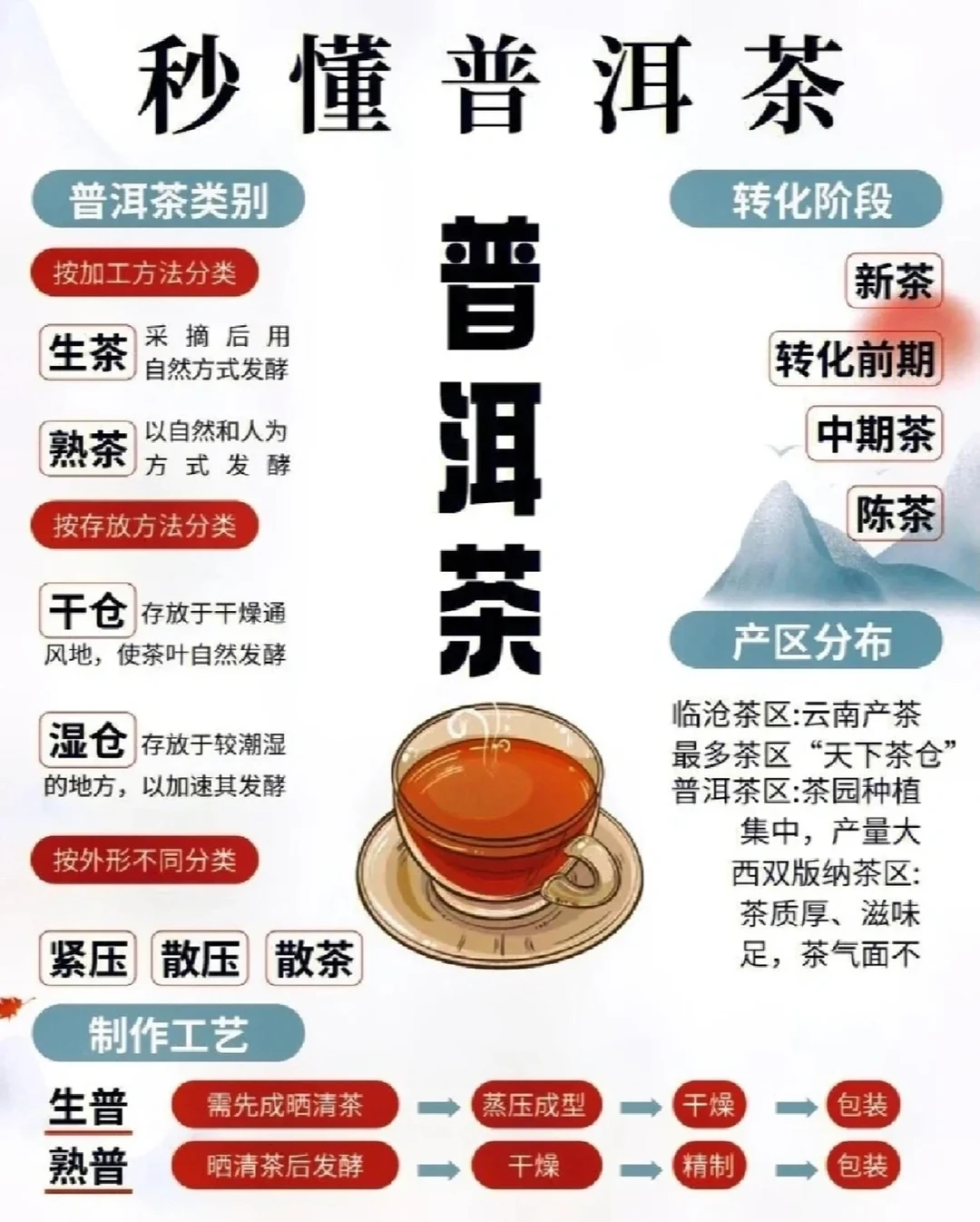 全面解析普洱茶，茶人必备，建议收藏！