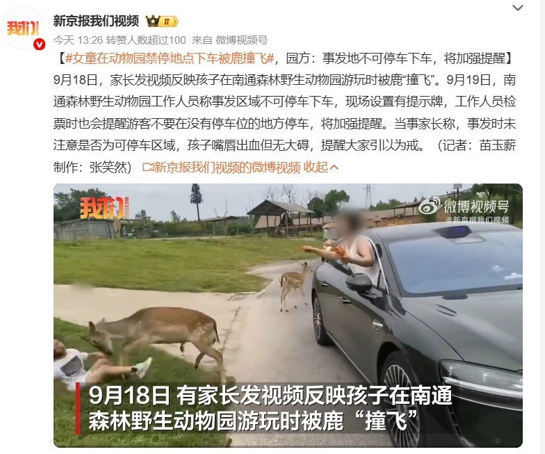 #女童在动物园禁停地点下车被鹿撞飞# 看了整个事发视频，明显是家长和女孩的责任，不能怪动物园。家长喂鹿时故意挑逗，把食物高高举起不给鹿吃，鹿看到小女孩从后面过来以为是它争抢食物，这才撞飞了女孩。家长和孩子一点自我防护意识没有，不仅在禁停点停车喂鹿，而且还故意刺激动物才导致事故。 ​