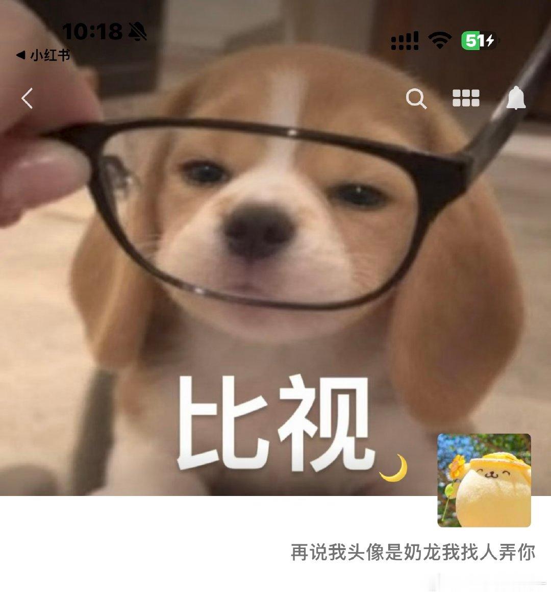弄你（曾毅式回复法 ​