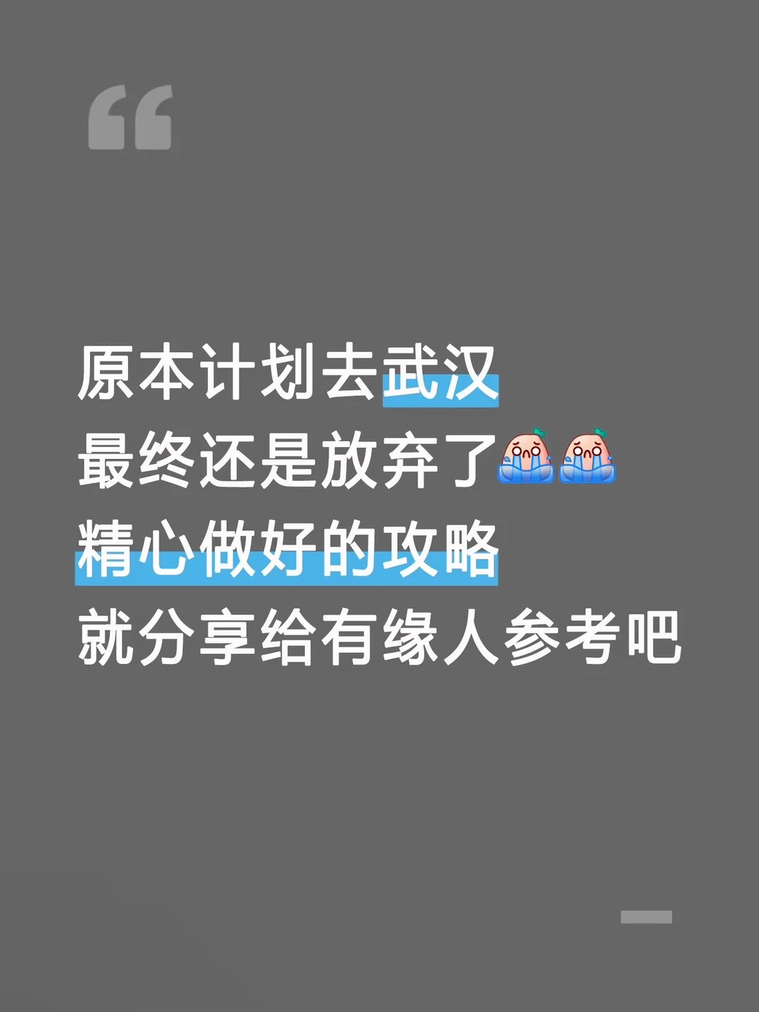 本J人花24h做的武汉攻略已经next level了