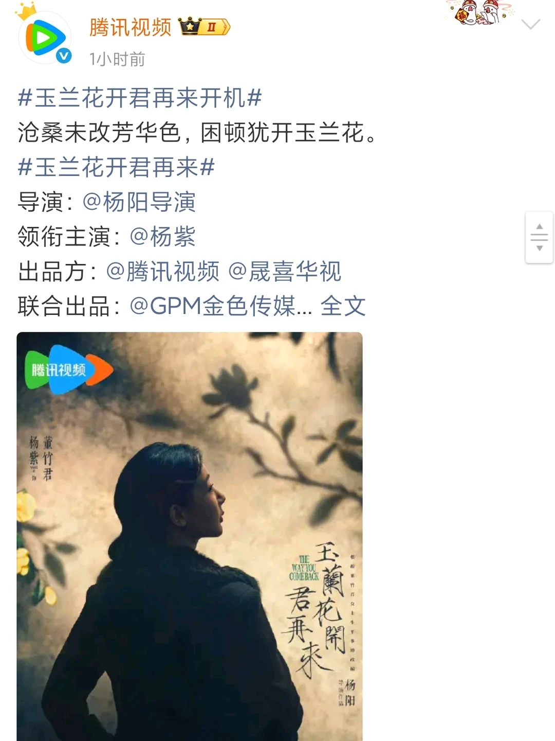 突然发现官方的判词还挺有意思的