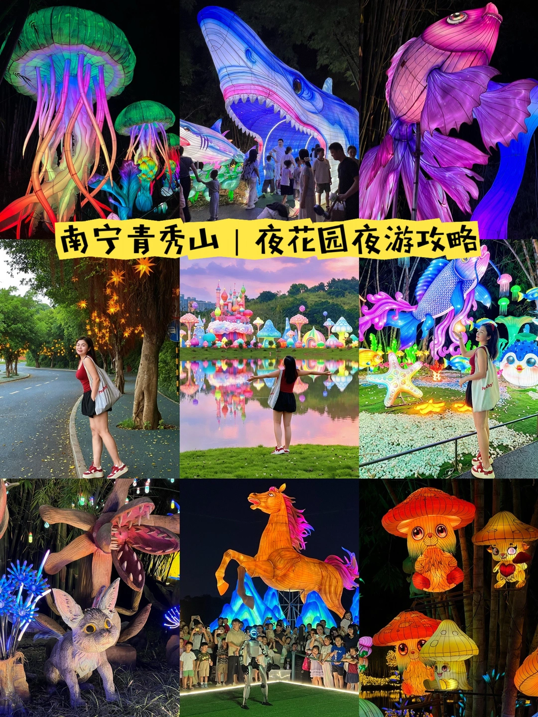 不会还有人没逛过青秀山南宁夜花园吧！