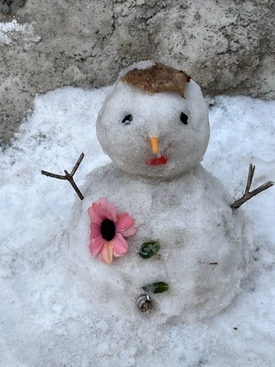 ㊗️各位科研小伙伴们新年快乐呀