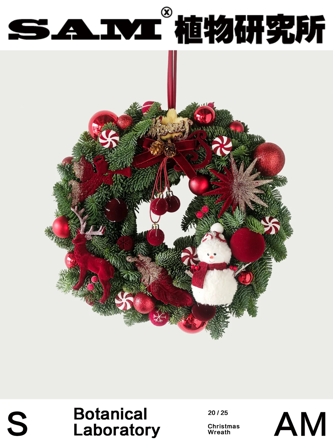 红丝绒诺贝松圣诞花环｜Abies Procera