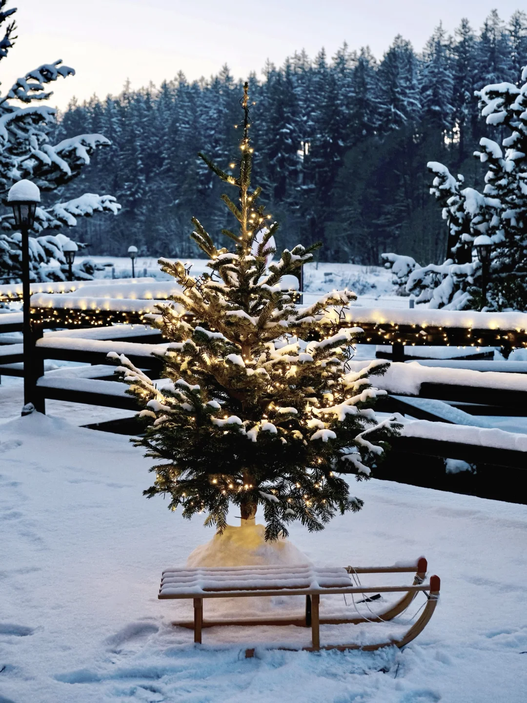 “𝓒𝓱𝓻𝓲𝓼𝓽𝓶𝓪𝓼 𝓥𝓲𝓫𝓮”