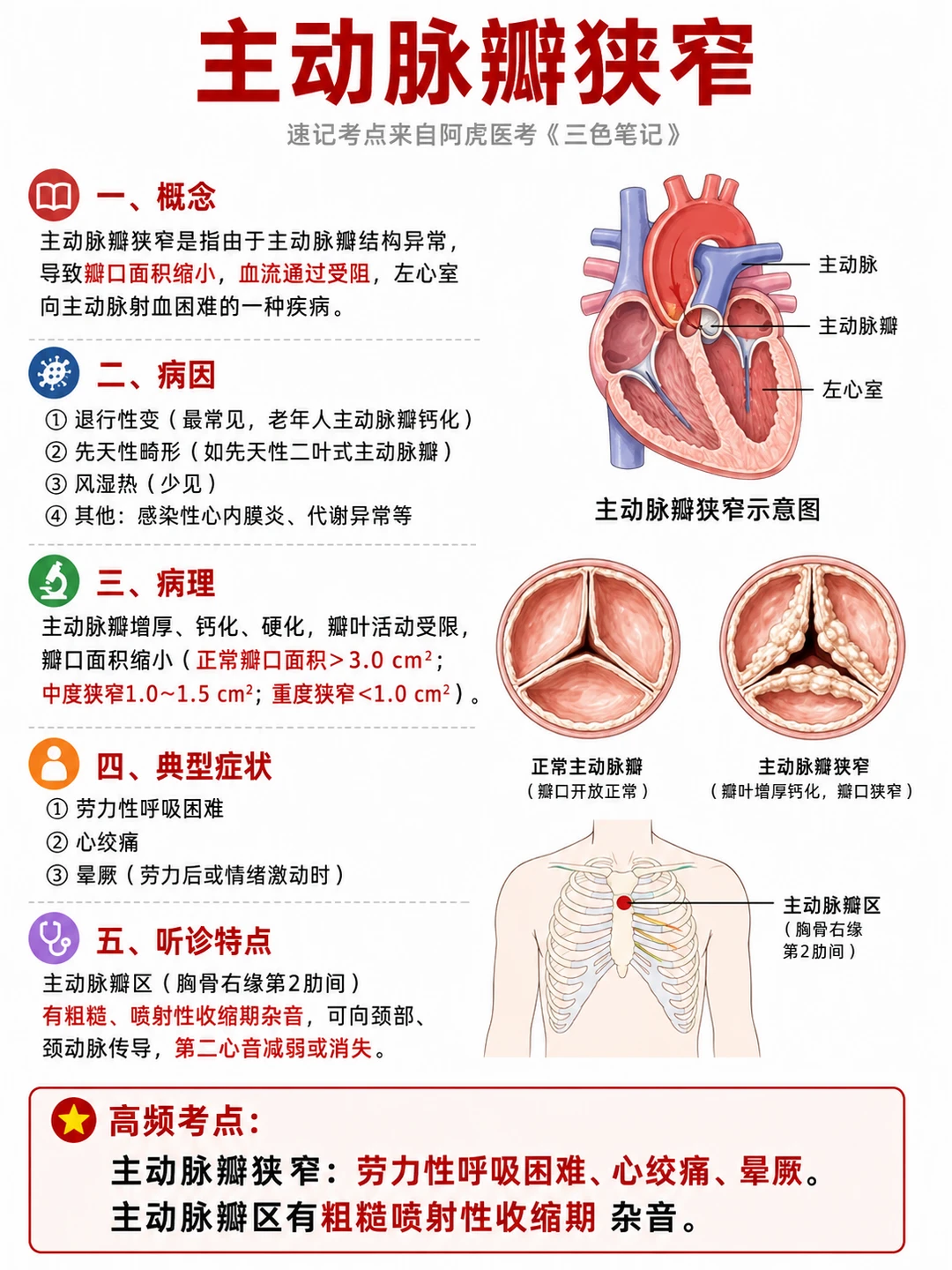 医学笔记：主动脉瓣狭窄VS主动脉瓣关闭不全