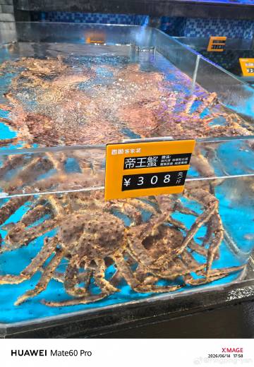 你看它多招喜