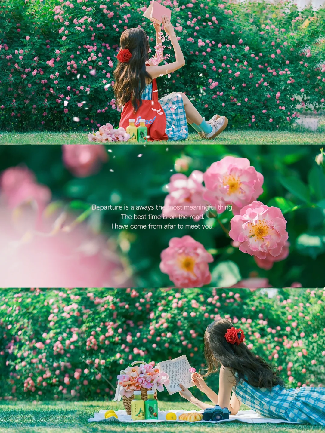 初夏蔷薇花野餐氛围感拍照|附调色教程