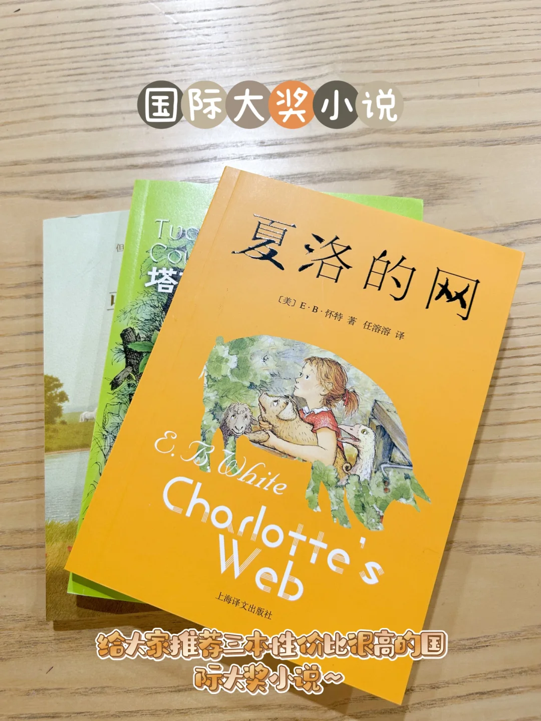 推荐国际大奖小说：这3本小说可以读一辈子