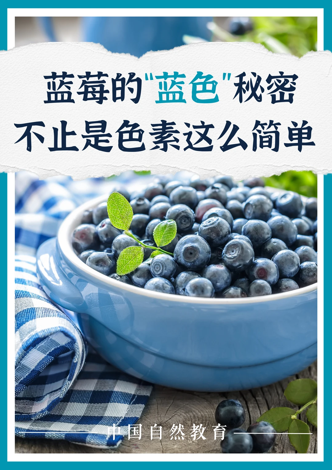 科普知识｜蓝莓的“蓝色”秘密