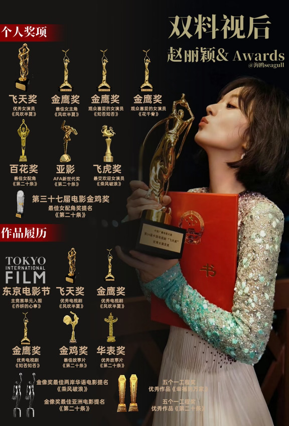 赵丽颖&个人及作品履历