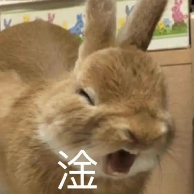 万能表情包
